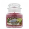 Yankee Candle Classic Small Jar SUNNY DAYDREAM 104 g Yankee Candle Classic Small Jar SUNNY DAYDREAM 104 g