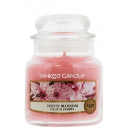 Yankee Candle Classic Small...